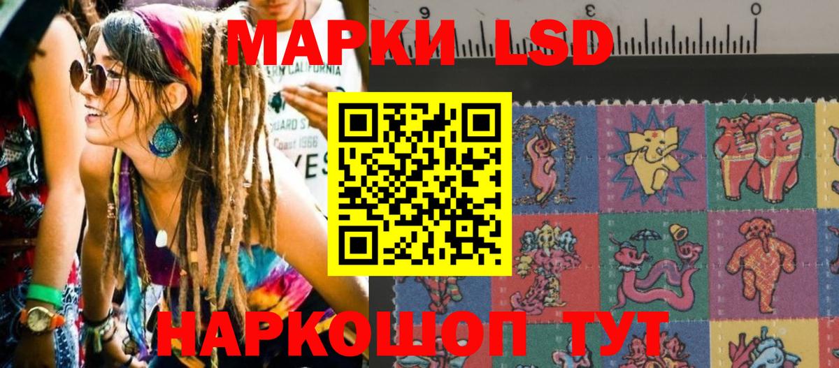 Находка  Марки NBOMe 1500мкг  Марки 25I-NBOMe  Марки NBOMe 1500мкг  Вход с VPN 