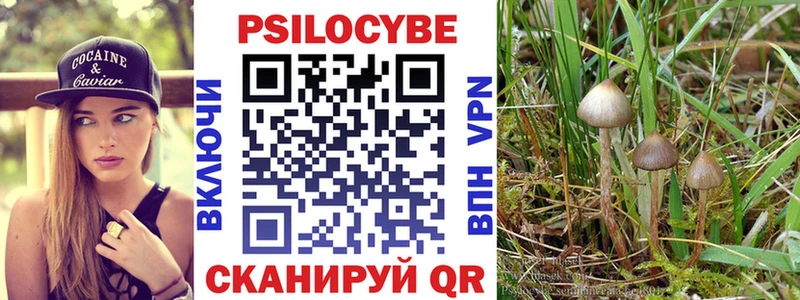 Псилоцибиновые грибы прущие грибы  где продают наркотики  Находка 