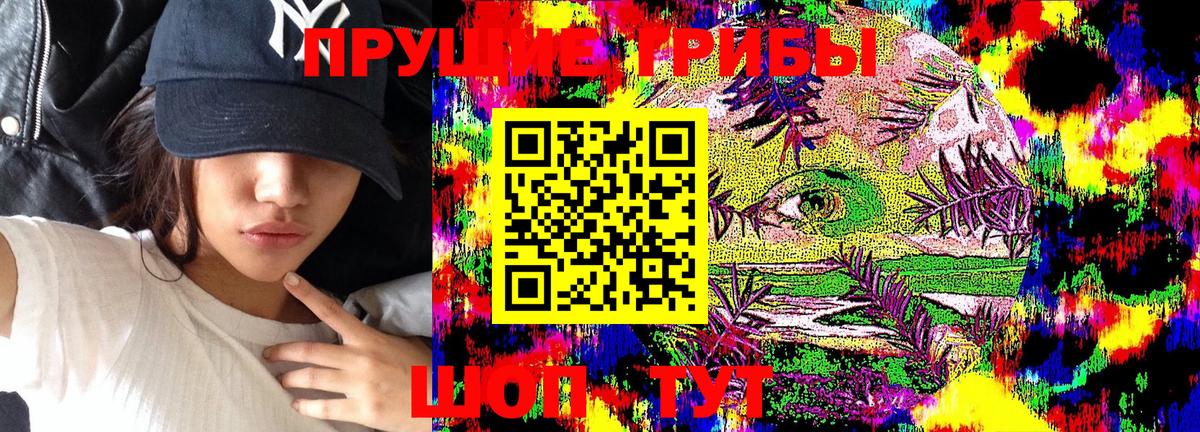 Псилоцибиновые грибы Cubensis  Вход с VPN  Галлюциногенные грибы мицелий  Находка 