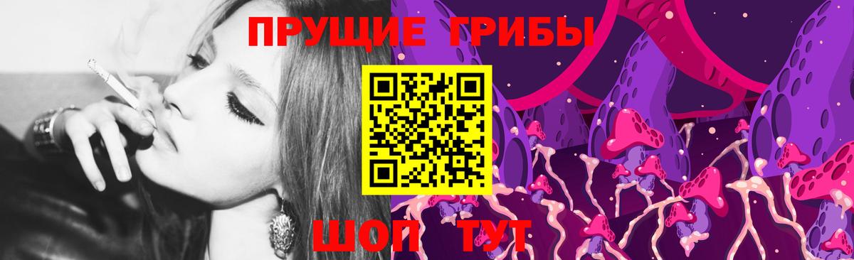 Галлюциногенные грибы Cubensis Находка